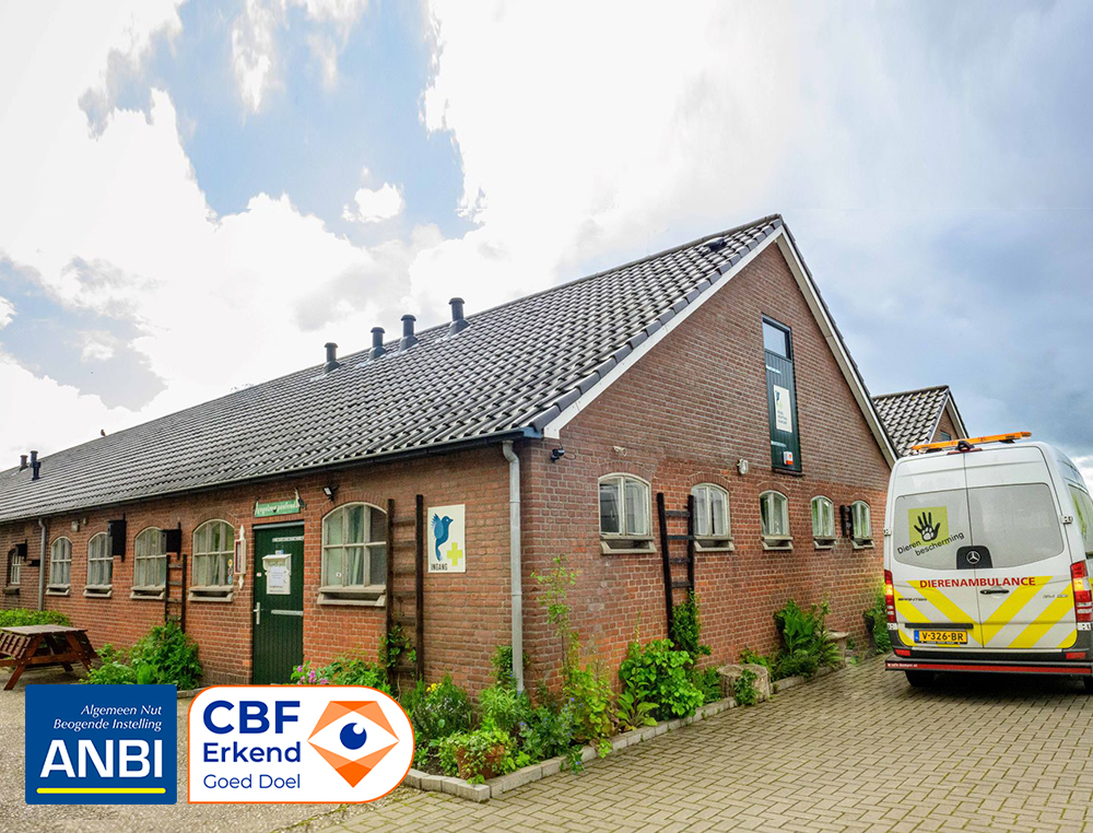 het-vogelhospitaal-ext-2