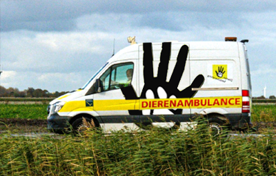 dierenambulance-kennemerland-03